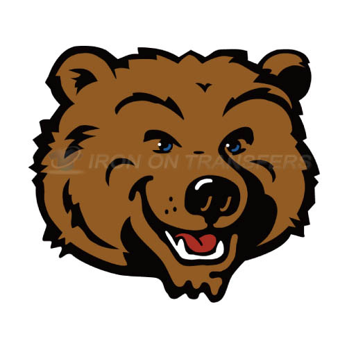 UCLA Bruins Logo T-shirts Iron On Transfers N6641